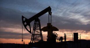 concurso petrobras
