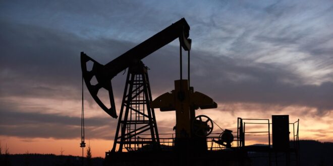 concurso petrobras
